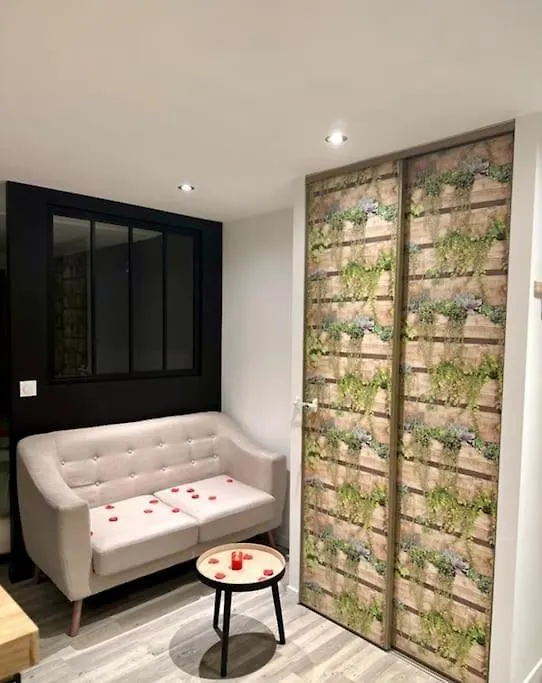 Appartement Love Room/Jacuzzi Toulouse 0*,